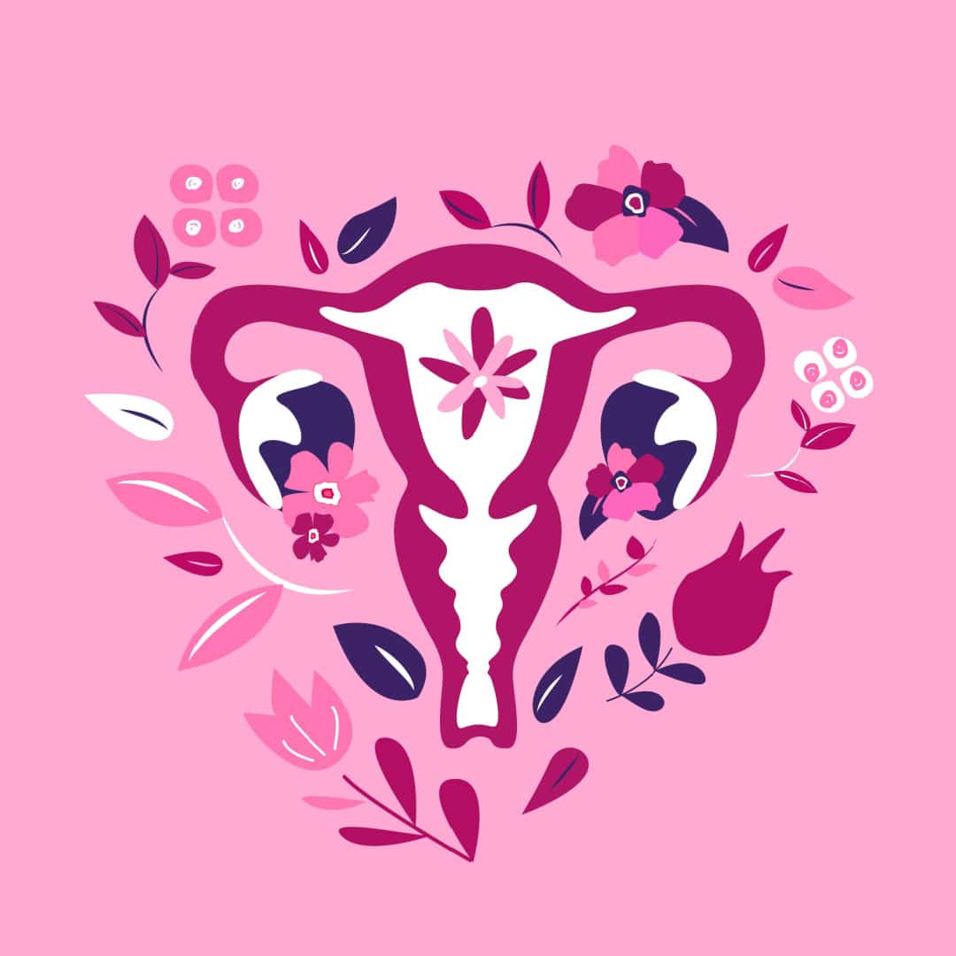 Uterus OVeries and uterus